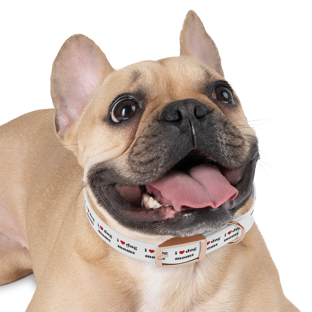 I Heart Dog Moms Dog Collar