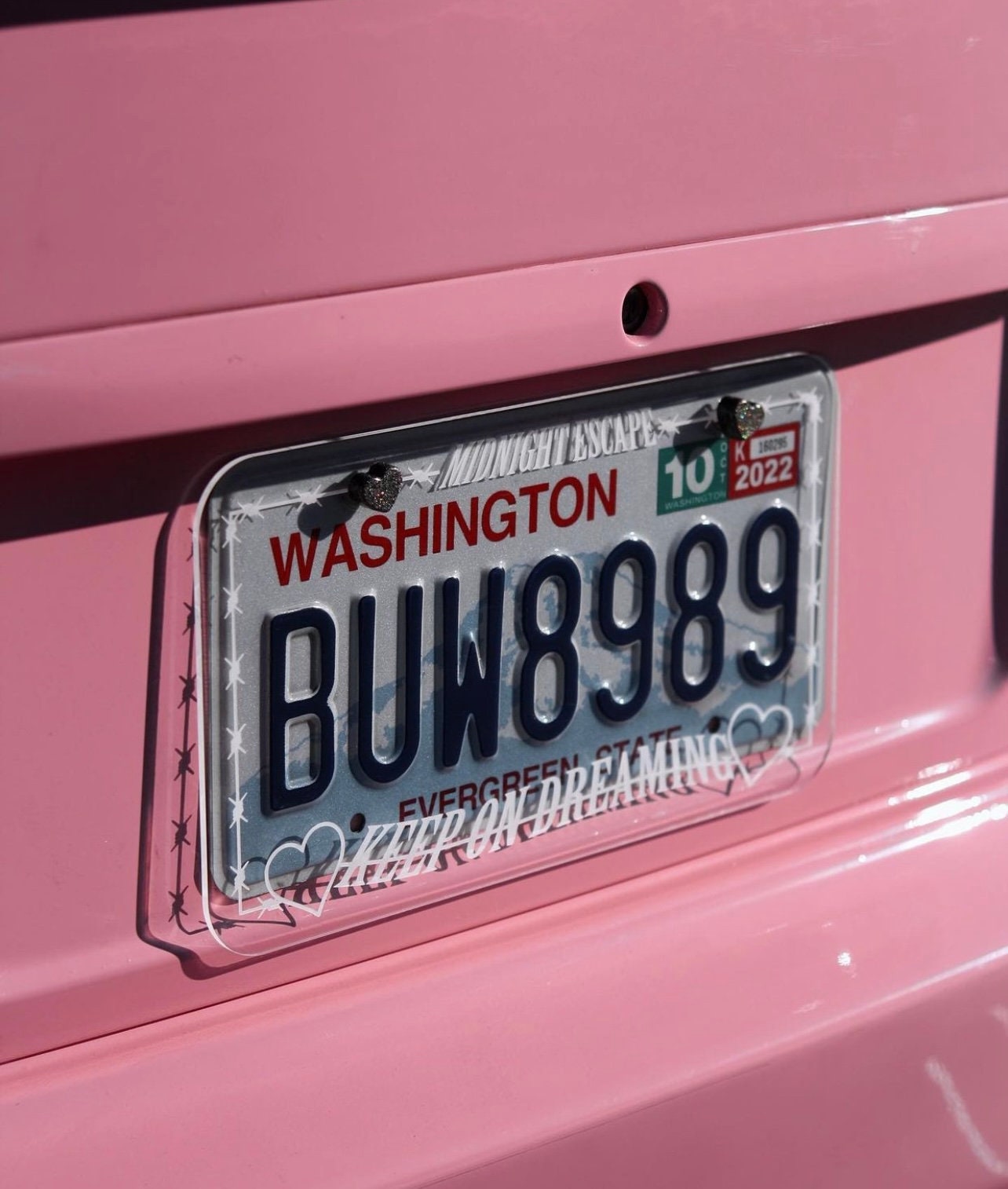 Custom Vanity Cover | License Plate | License Plate Delete